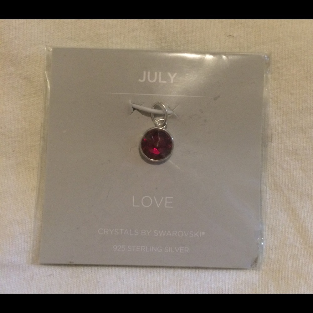 Origami owl dangle charm